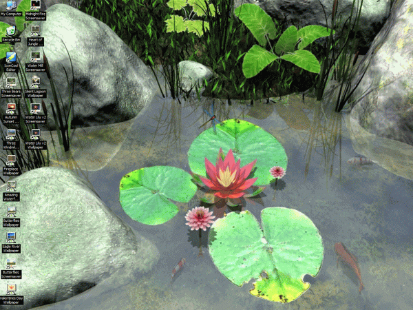 AD Water Lily - Animated Desktop Wallpaper Crack & License Key