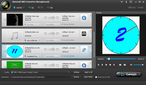 Iskysoft mkv converter что это