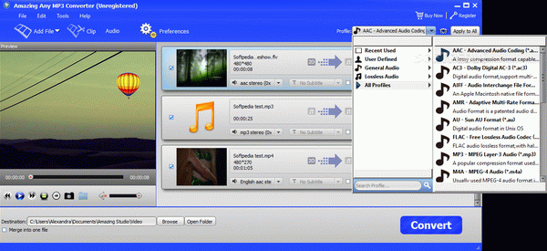 Amazing Any MP3 Converter Crack Plus Serial Number