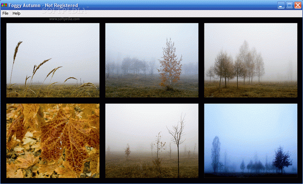 Bizimg Foggy Autumn Activation Code Full Version