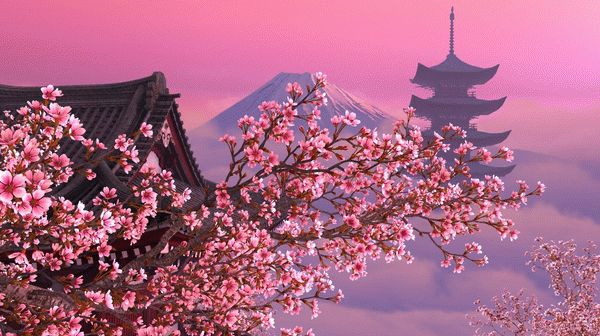 Blooming Sakura 3D Screensaver Crack & Activator