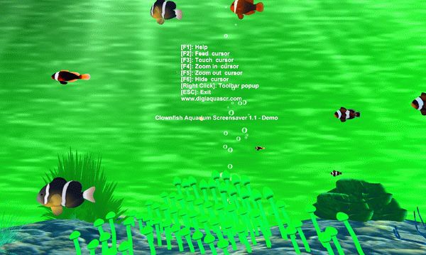 Clownfish Aquarium Screensaver Crack + Activator Download 2022
