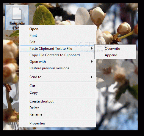 Copy Paste File Contents Crack + Activator Download 2022