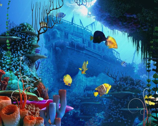 Coral Reef 3D Screensaver Activation Code Full Version