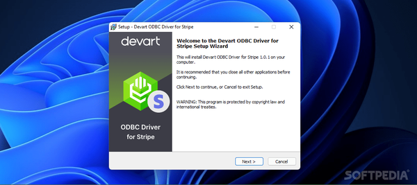 Devart ODBC Driver for Stripe Crack & License Key