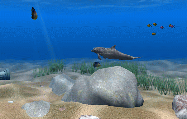 Dolphin Aqua Life 3D Screensaver Crack + Activator (Updated)