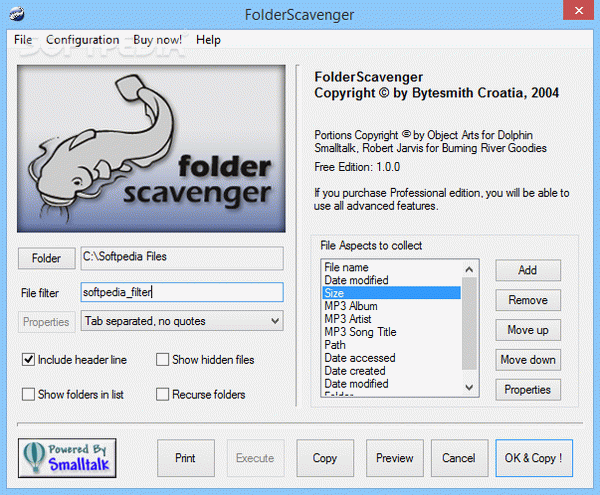 FolderScavenger Crack With Serial Key