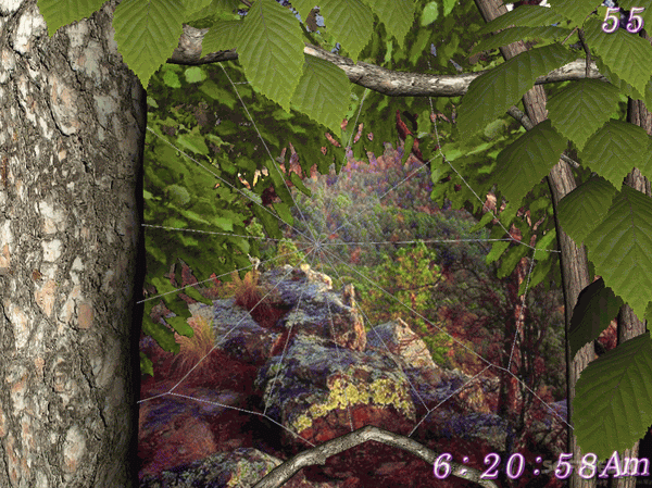 Forest Life 3D Screensaver Crack With Activator Latest