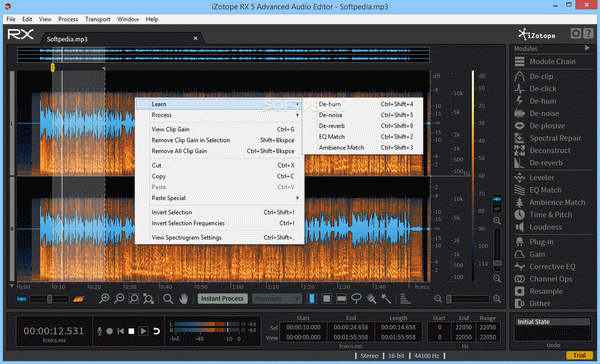 iZotope RX Advanced Audio Editor Crack + License Key