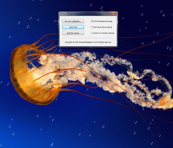 Jelly Fish Animated Wallpaper Crack With Serial Key