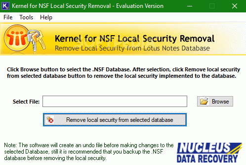 Kernel for NSF Local Security Removal Crack With Serial Number Latest 2024