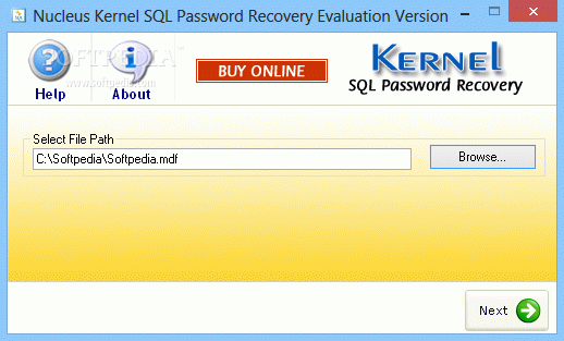 Kernel SQL Password Recovery Crack + License Key (Updated)