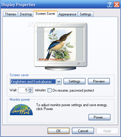 Kingfishers and Kookaburras Screensaver Serial Number Full Version