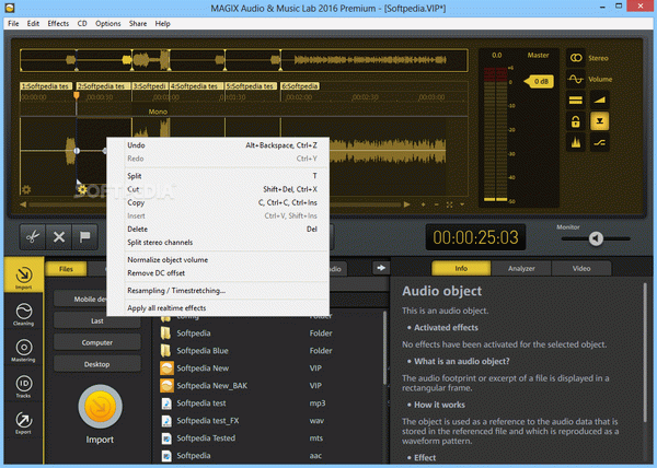 MAGIX Audio & Music Lab Premium Crack & Activator