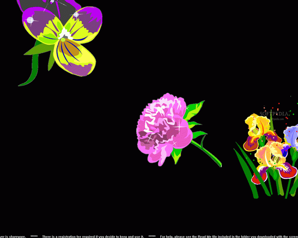 Pretty Flowers Screensaver Crack + Activator