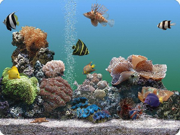 SereneScreen Marine Aquarium Keygen Full Version