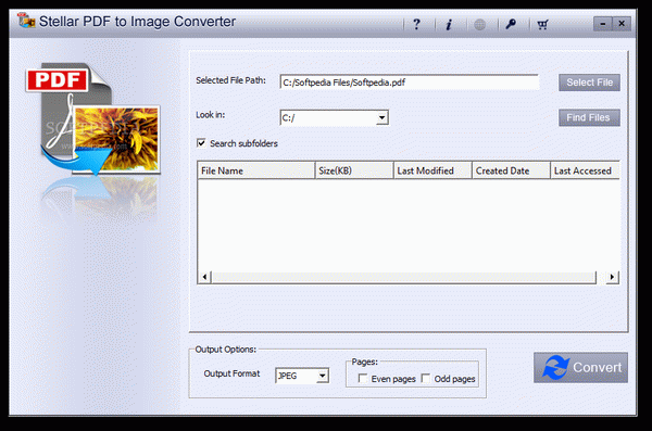 Stellar PDF to Image Converter Crack + Activation Code Download 2021