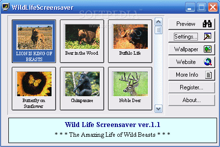 The Wild Life Screensaver Crack With License Key Latest 2024